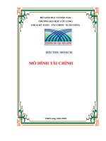 BÀI THU HOẠCH MO HINH TAI CHINH 4