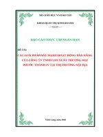 CÁC GIẢI PHÁP đẩy MẠNH HOẠT ĐỘNG bán HÀNGCỦA CÔNG TY TNHH sản XUẤT THƯƠNG MẠIPHƯỚC THÀNH IV tại THỊ TRƯỜNG nội địa