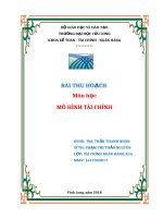 BÀI THU HOẠCH môn học mô HÌNH tài CHÍNH3