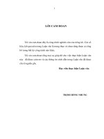 Các nhân tố tác động đến hành vi mua bán trực tuyến của người tiêu dùng trên các kênh thương mại điện tử tại TP HCM 