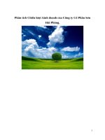 Phân tích chiến lược kinh doanh của công ty cổ phần sơn hải phòng 