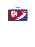 Chiến lược kinh doanh của công ty cổ phần sơn hải phòng 