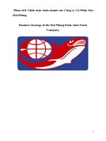 Chiến lược kinh doanh của công ty cổ phần sơn hải phòng e 