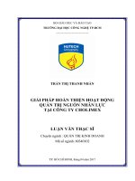 Giải pháp hoàn thiện hoạt động quản trị nguồn nhân lực tại công ty cholimex 