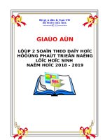 Giáo án lớp 2 soạn theo dạy học hướng phát triển năng lực học sinh năm 2018