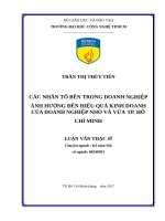 Các nhân tố bên trong doanh nghiệp ảnh hưởng đến hiệu quả kinh doanh của doanh nghiệp nhỏ và vừa tp  hồ chí minh 