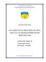 Các nhân tố tác động đến cấu trúc vốn của các doanh nghiệp ngành thép việt nam 