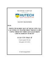 Phân tích hiệu quả sử dụng vốn tại các công ty ngành thực phẩm và đồ uống niêm yết trên sàn giao dịch chứng khoán tp hồ chí minh 