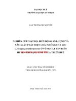Nghiên cứu mật độ, biến động số lượng và xác suất phát hiện loài nhông cát sọc (leiolepis guentherpetersi) ở vùng cát ven biển huyện phú lộc, tỉnh thừa thiên huế (tt) 