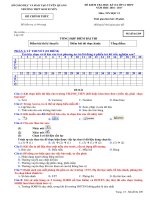 Đề thi học kì 2 môn Tin học có đáp án