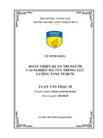 Hoàn thiện quản trị người cai nghiện ma túy trong lực lượng TNXP tp HCM 