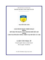 Giải pháp hoàn thiện hoạt động hỗ trợ tín dụng của thành phố hồ chí minh cho người dân nông thôn tại huyện củ chi 