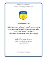 Phân hủy chất màu hữu cơ bằng quá trình fenton dị thể với xúc tác chứa sắt tẩm trên chất mang carbon   ứng dụng xử lý nước thải dệt nhuộm 