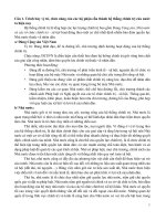 Đề cương thảo luận trung cấp chính trị môn nhà nước pháp luật 2018