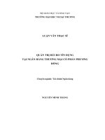 luận văn QUẢN TRỊ RỦI RO TÍN DỤNG  TẠI NGÂN HÀNG THƯƠNG MẠI CỔ PHẦN PHƯƠNG ĐÔNG