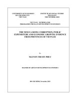 The nexus among corruption, public expenditure and economic growth evidence from provinces of vietnam 