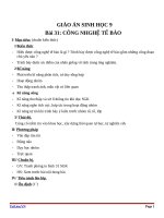 Giáo án Sinh học 9 bài 31: Công nghệ tế bào