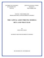 The capital asset pricing model beta and what else 