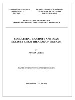 Collateral liquidity and loan default risks the case of vietnam 