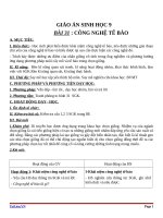 Giáo án Sinh học 9 bài 31: Công nghệ tế bào