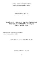 Nghiên cứu cố định vi khuẩn cố định đạm trong hạt polyter và ứng dụng trên cây dâu tây (tt) 