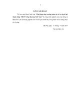 luận văn thạc sĩ “Giải pháp tăng cường quản trị rủi ro tỷ giá tại Ngân hàng TMCP Công thương Việt Nam”