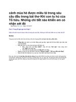 cảnh mùa hè được miêu tả trong sáu câu đầu trong bài thơ khi con tu hú của tố hữu
