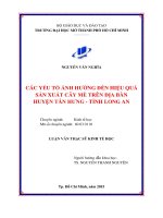 Các yếu tố ảnh hưởng đến hiệu quả sản xuất cây mè trên địa bàn huyện tân hưng, tỉnh long an 