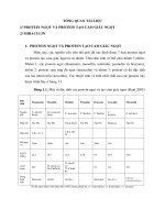 đã chỉnh sửa 1