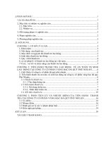 Tiểu luận tiến hành thanh tra tại công ty cổ phần vàng bạc đá quý phú nhuận