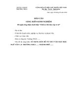 SÁNG KIẾN KINH NGHIỆM 2021