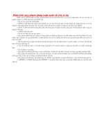 Phân tích quy phạm pháp luật quốc tế cho ví dụ