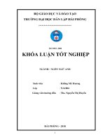 How to help first year english majors at HPU avoid common mistakes in speaking lessons   