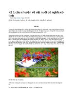 Kể 1 câu chuyện về vật nuôi có nghĩa có tình