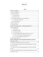 luận văn “ Phân tích tình hình huy động vốn và cho vay tại quỹ tín dụng nhân dân phường 3, thi xã Trà Vinh, tỉnh Trà Vinh”