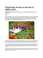 Thuyết minh về một con vật nuôi có nghĩa có tình