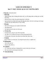 Giáo án Sinh học 9 bài 27: Thực hành quan sát thường biến