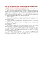 Trình bày nội dung nguyên tắc không can thiệp vào công việc nội bộ của quốc gia khác và ngoại lệ của nguyên tắc này