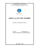 Phân tích hiệu quả sử dụng vốn lưu động và một số giải pháp nâng cao hiệu quả sử dụng vốn lưu động của công ty TNHH thương mại vận tải biển thành đạt   