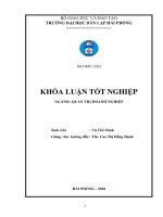 Một số giải pháp nâng cao hiệu quả nguồn nhân lực tại công ty TNHH PHÁT TRIỂN DU LỊCH VỊNH XANH 
