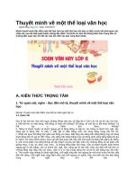 Thuyết minh về một thể loại văn học