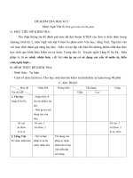 Đề thi và ma trận hướng dẫn chấm điểm môn ngữ văn 9 hk 1