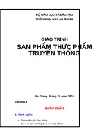Giáo trình sản xuất sản các sản phẩm truyền thống