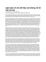 nghị luận về chủ đề hãy nói không với tệ nạn ma túy