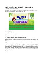 Viết bài tập làm văn số 7 ngữ văn 9
