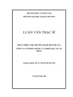 luận văn thạc sĩ PHÁT TRIỂN THỊ TRƯỜNG KINH DOANH CỦA CÔNG TY CỔ PHẦN DƯỢC VÀ THIẾT BỊ Y TẾ AN PHÁT