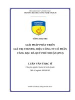 Giải pháp phát triển giá trị thương hiệu công ty cổ phần vàng bạc đá quý phú nhuận (PNJ) 