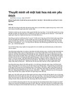 Thuyết minh về một loài hoa mà em yêu thích