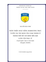 Hoàn thiện hoạt động marketing trực tuyến tại tập đoàn tân á   đại thành ở thành phố hồ chí minh đến2020 
