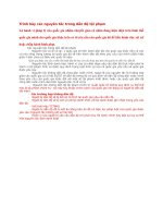 Trình bày các nguyên tắc trong dẫn độ tội phạm